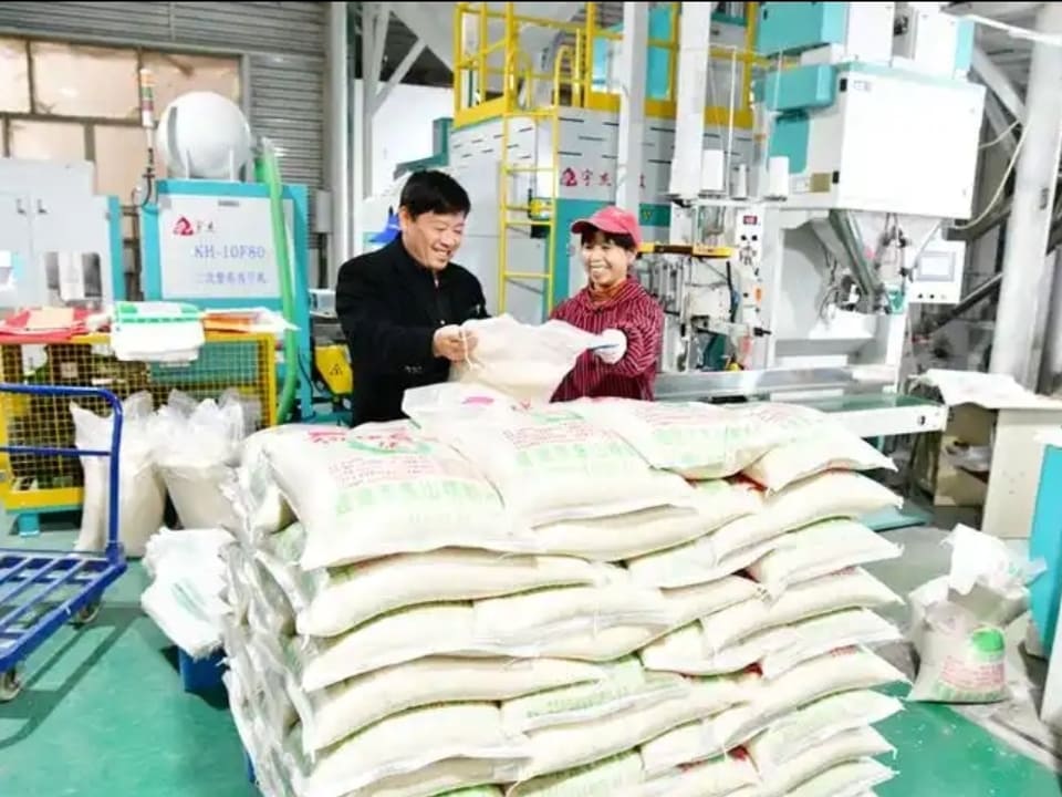 제이영농 곡물 가공 및 도정 설비 현장 6