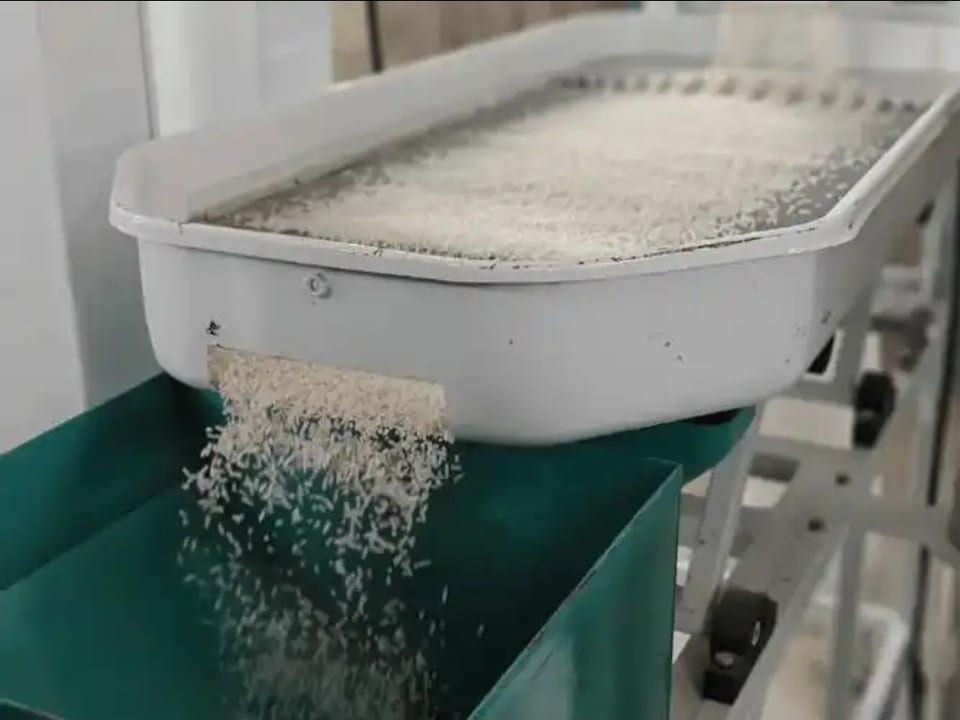 제이영농 곡물 가공 및 도정 설비 현장 10
